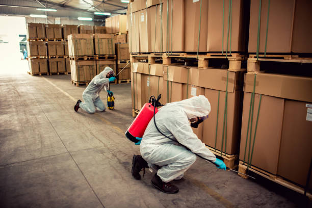 Reliable Meadow Vista, CA Pest Control Solutions