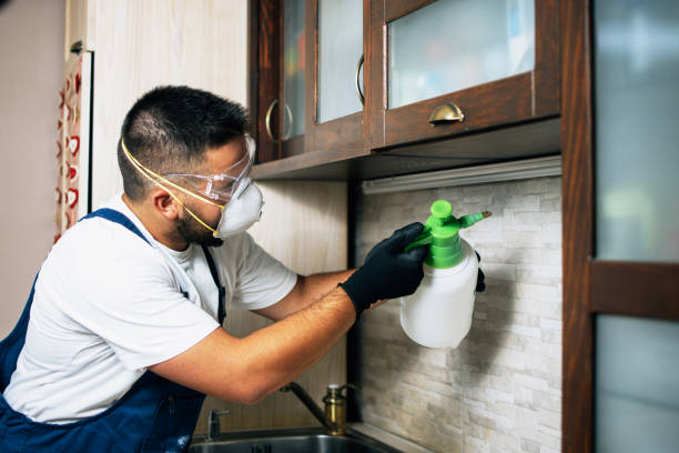Best Pest Control for Businesses  in Meadow Vista, CA