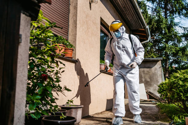 Best Commercial Pest Control Services  in Meadow Vista, CA