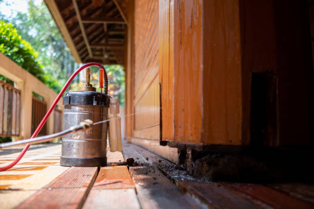 Best Mosquito Control Services  in Meadow Vista, CA