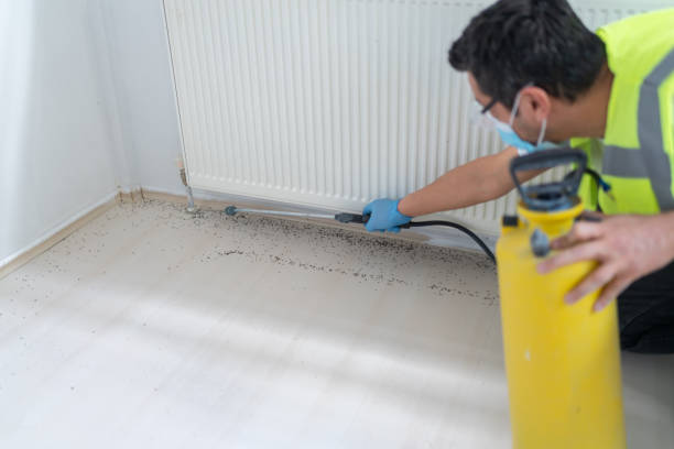 Best Pest Removal Services  in Meadow Vista, CA